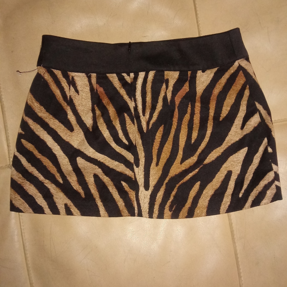 Express Mini Skirt
